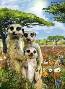 ���������� ���������� RAVENSBURGER - 500 ��������