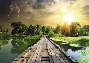 ��������� ��� ����� RAVENSBURGER - 1000 ��������