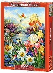 GOLDEN IRISES CASTORLAND 1500 ΚΟΜΜΑΤΙΑ GOLDEN IRISES CASTORLAND 1500 ΚΟΜΜΑΤΙΑ