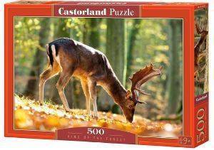 KING OF THE FOREST CASTORLAND 500 ��������