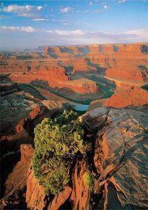 DEAD HORSE, UTAH, USA TREFL 1000 ΚΟΜΜΑΤΙΑ DEAD HORSE, UTAH, USA TREFL 1000 ΚΟΜΜΑΤΙΑ
