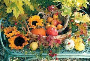 7+PUMPKINS TREFL 1000 ��������