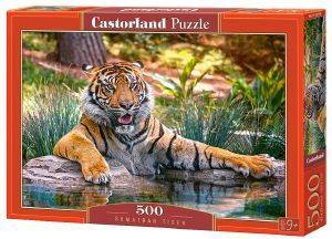 ������ �������