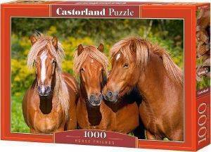 HORSE FRIENDS CASTORLAND 1000 