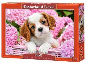 PUP IN PINK FLOWERS CASTORLAND 500 ��������