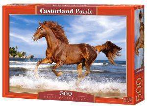 HORSE ON THE BEACH CASTORLAND 500 
