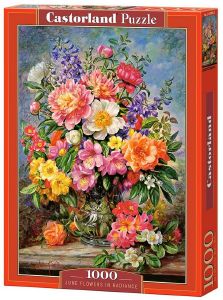 JUNE FLOWERS IN RADIANCE CASTORLAND 1000 