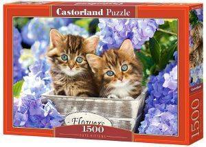 CUTE KITTENS CASTORLAND 1500 