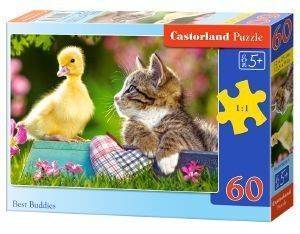 BEST BUDDIES CASTORLAND 60 ��������
