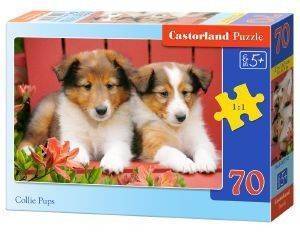 COLLIE PUPS CASTORLAND 70 