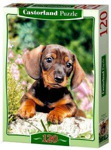 PUPPY LOOKING FOR THE MASTER CASTORLAND 120 ΚΟΜΜΑΤΙΑ PUPPY LOOKING FOR THE MASTER CASTORLAND 120 ΚΟΜΜΑΤΙΑ