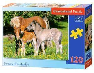 PONIES IN THE MEADOW CASTORLAND 120 ��������