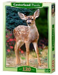 BABY DEER CASTORLAND 120 