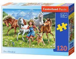 ON A MEADOW CASTORLAND 120 ��������