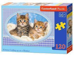 KITTENS CURLING UP ON A BLANKET CASTORLAND 120 