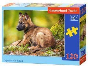 PUPPY IN THE FOREST CASTORLAND 120 ΚΟΜΜΑΤΙΑ PUPPY IN THE FOREST CASTORLAND 120 ΚΟΜΜΑΤΙΑ