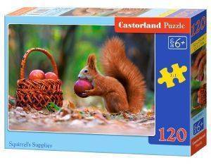 SQUIRRELS SUPPLIES CASTORLAND 120 