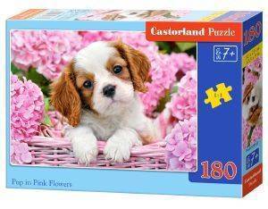 PUP IN PINK FLOWERS CASTORLAND 180 