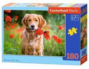 FLOWERS FOR YOU CASTORLAND 180 ��������