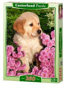 LITTLE RETRIEVER CASTORLAND 260 ��������