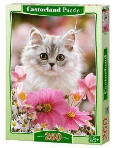 MADE OF FUR CASTORLAND 260 ��������