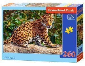 LITTLE JAGUAR CASTORLAND 260 ��������