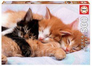 KITTENS EDUCA 500 ��������