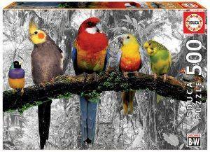 BIRDS IN THE JUNGLE - COLOURED B&W EDUCA 500 ΚΟΜΜΑΤΙΑ BIRDS IN THE JUNGLE - COLOURED B&W EDUCA 500 ΚΟΜΜΑΤΙΑ