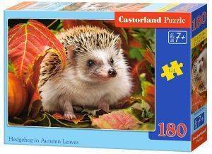 ������ �������