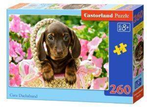 CUTE DACHSHUND CASTORLAND 260 