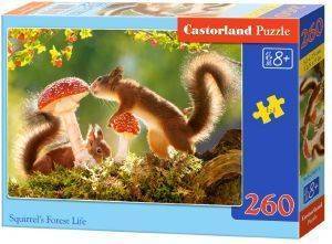 SQUIREL\'S FOREST LIFE CASTORLAND 260 ��������