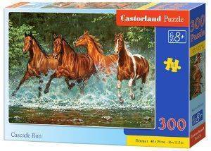 CASCADE RUN CASTORLAND 300 