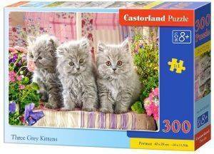 THREE GREY KITTENS CASTORLAND 300 