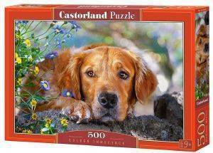 GOLDEN INNOCENCE CASTORLAND 500 ��������