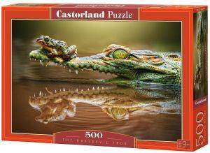 THE DAREDEVIL FROG CASTORLAND 500 ��������