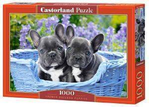 FRENCH BULLDOG PUPPIES CASTORLAND 1000 