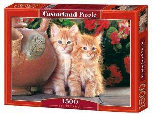 RED KITTENS CASTORLAND 1500 