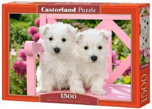 WHITE TERRIER PUPPIES CASTORLAND 1500 ��������