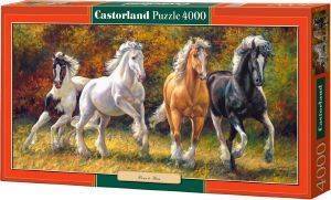 BORN TO RUN CASTORLAND 4000 ΚΟΜΜΑΤΙΑ BORN TO RUN CASTORLAND 4000 ΚΟΜΜΑΤΙΑ