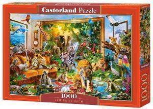 COMING TO ROOM CASTORLAND 1000 ��������