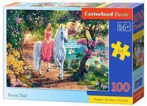 SECRET TRAIL CASTORLAND 100 ��������