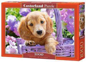 PUPPY IN BASKET CASTORLAND 1000 