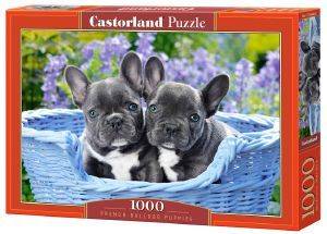 CASTORLAND FRENCH BULLDOG PUPPIES CASTORLAND 1000 ΚΟΜΜΑΤΙΑ