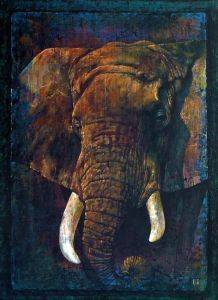 AFRICAN ELEPHANT RICORDI 1000 