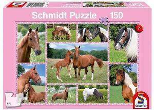   SCHMIDT 150  [56269]