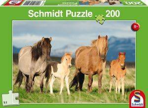   SCHMIDT 200  [56199]