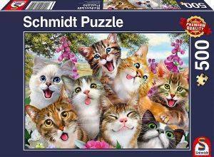 CATS SELFIE SCHMIDT 500 