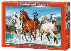 CALL OF NATURE CASTORLAND 2000 