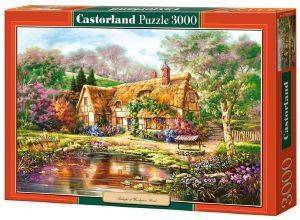 TWILIGHT AT WOODGREEN POND CASTORLAND 3000 ��������