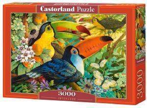 INTERLUDE CASTORLAND 3000 ��������
